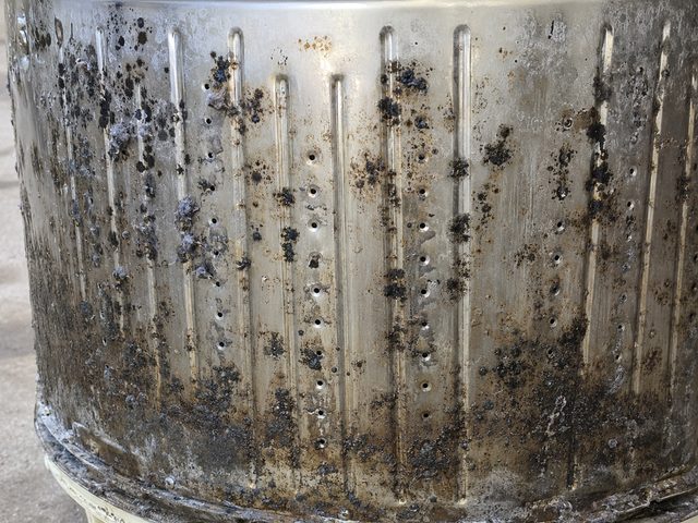 洗濯槽外側にびっしり付着した黒カビ